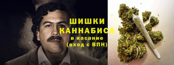 прущая мука Магас