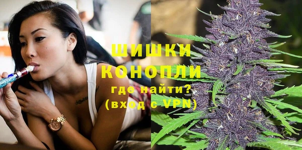 индика Магадан