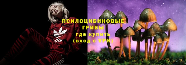 прущая мука Магас