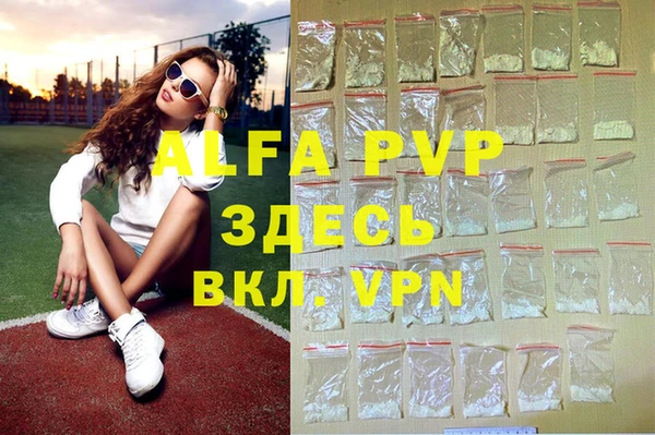 индика Магадан