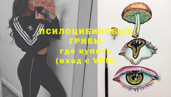 прущая мука Магас