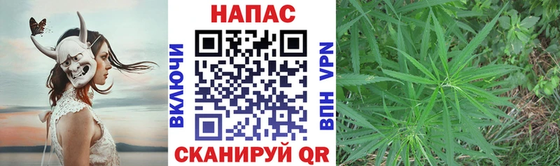 где найти наркотики  Строитель  Каннабис Amnesia 