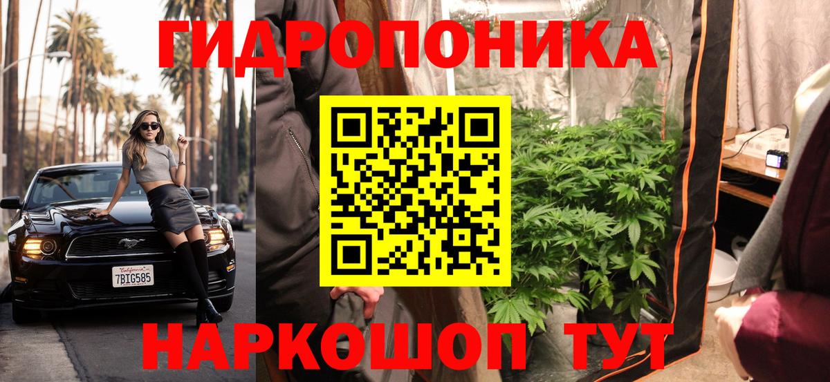 Бошки Шишки планчик  Вход с VPN  Конопля Bruce Banner  МАРИХУАНА LSD WEED  Каннабис Bruce Banner  Строитель 